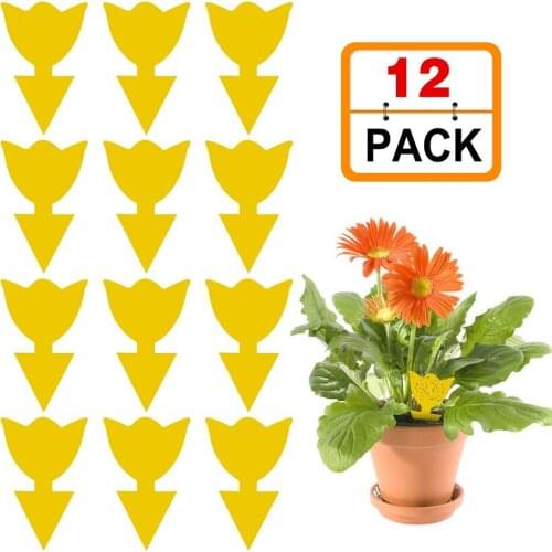 Ловушки для насекомых LeKing China At AliExpress