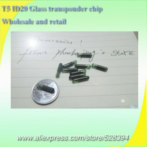 100pcs Key Locksmith Tools Original Glass T5 ID20 Transponder Chip DHL EMS Fast Deilvery
