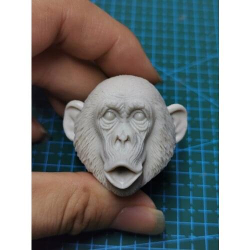 1/6 Scale Chimpanzee Animal Unpainted Head Model Kiss Mouth Version DIY for 12''Figures DIY