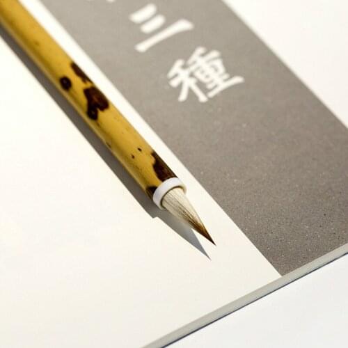 Chinese Calligraphy Pen Multiple Hair Brush Pen Children Small Bamboo Calligraphy Brushes Tinta China Beginner Writing Brush