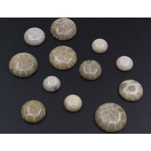 12 16 20mm natural coral fossil round yellow ring earrings cabochon special cabs DIY jewelry findings supplies 4110156