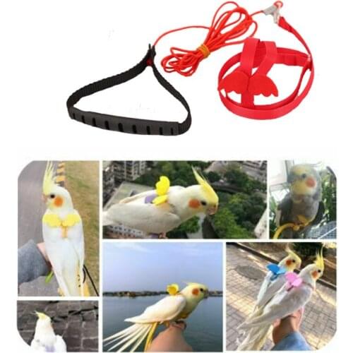 Bird Parrot Adjustable Outdoor Flying Training Rope Portable Soft Ultralight Bird Harness Leash Set Pet Playthings Cockatiel