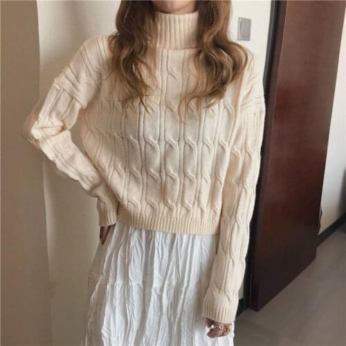 Womens Autumn Winter Casual Turtleneck Sweater Female Streetwear Pullovers Jumpers