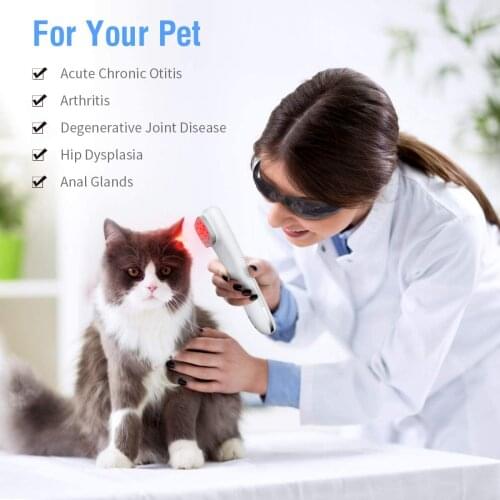 Veterinary Use for Pets Animals Horses Cats Wound Healing Clinic Pain Relieve Cold Laser Therapy Instrument