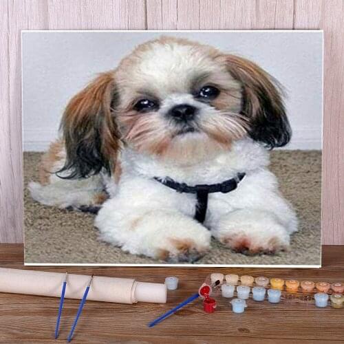 Animal Yorkshire Terrier DIY Paint By Numbers Complete Kit Oil Paints 50*70 Canvas Painting Home Decor Adults Drawing