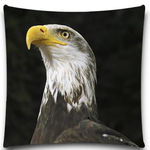 An eagle with heads held high 2D print creative Pillow case Square cotton polyester cushion cover 5 size 9 style