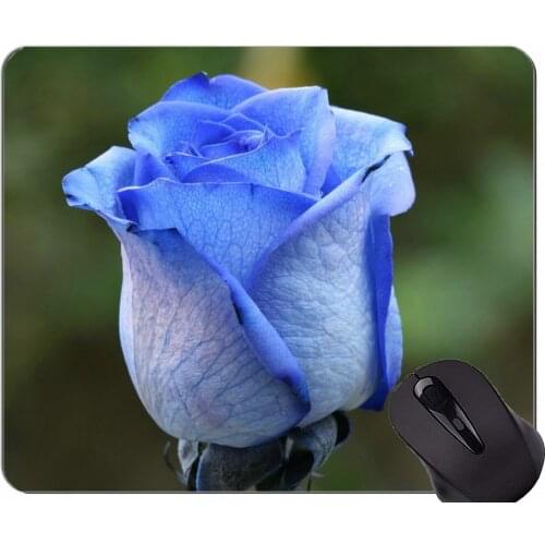 Rectangle Mouse Pad,Charming flowers,natural roses -Stitched Edges