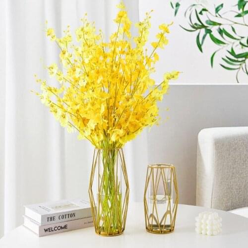 Nordic creative rhombus iron art vase living room table decoration transparent glass vase hydroponic glass flower arrangement