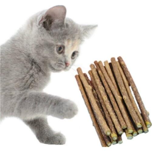 15/5pcs Pure Natural Catnip Pet Cat Toy Safety Molar Toothpaste Branch Cleaning Teeth Cat Snacks Sticks Pet Supplies Catnip