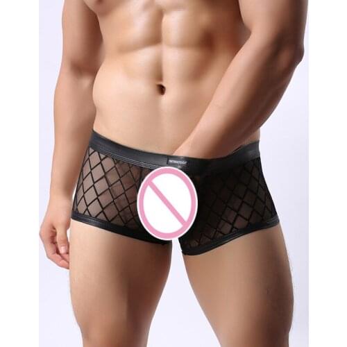 Sexy Fashion Brand Plaid Fishnet Transparent Man Sexy Hipster Boxers Underwear Gay Male Funny Mesh Shorts/Erotic Lingerie
