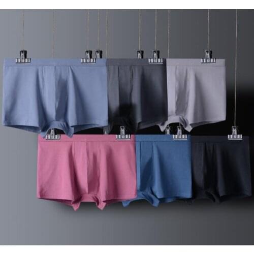 2021 6Pcs/Lot Cotton Boxer Mens Underwear Men Cotton Underpants Male Panties Underwear Boxer Shorts