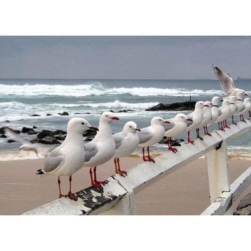 Handmade 3D Diamond Embroidery White Seagull Diamond Mosaic Full Square DIY 5D Diamond Painting Scenery Rhinestones Decor DF227