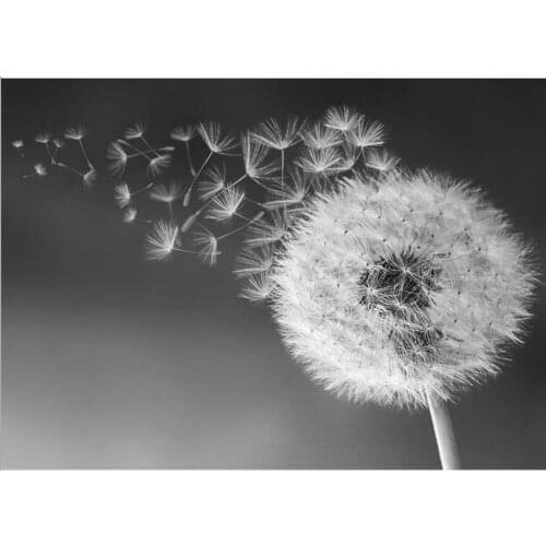 Diamond Painting Full Square Diamond "Dandelion" 3D Embroidery Cross Stitch Rhinestone 5D DIY Mosaic Decor Black White Art Decor