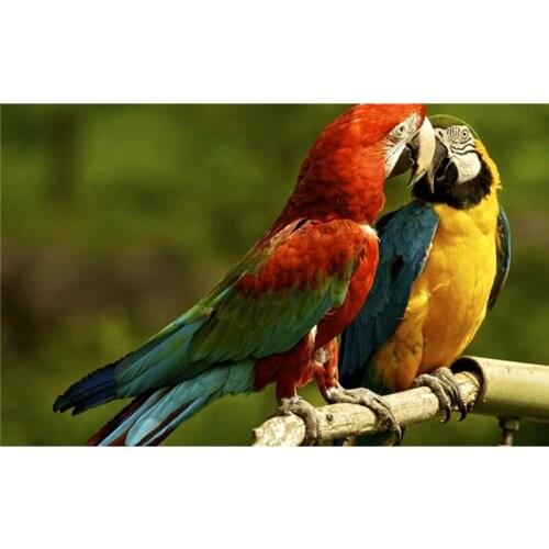 Lover Bird diamond painting cross stitch picutre of rhinestone wall art Full square diamond embroidery wedding decoration A7630R