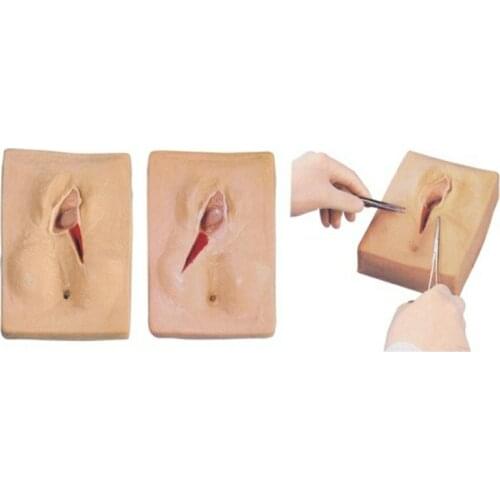 Medical Science Subject Simulator Series Vulva Suturing Training Simulator for teaching