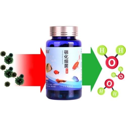 20/30/50/80/100 Pcs Aquarium Nitrifying Bacteria Concentrated Capsule Fish Tank Pond Cleaning Fresh Water Supplies