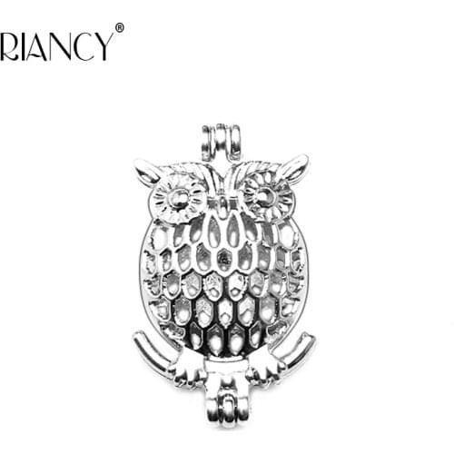 Hollow Cage pendant jewelry accessories for DIY Oyster Pearl Cage Pendant Necklace Charm Surprise Valentines Day Gift