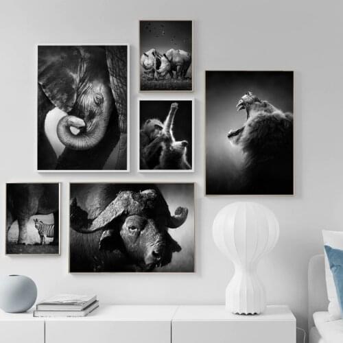 Black And White Animal Posters And Prints Lion Leopard Elephant Monkey Cow hippo Zebra Large Wall Art Pictures Home Decoration