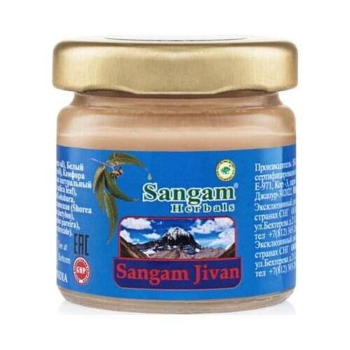 Sangam Herbals Dress Up With AIDS