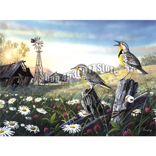 Diy Diamond Painting Full Cross Stitch Pictures,Diamond Mosaic Birds Farm Summer Landscape Sunrise Sunset Paintings,Home Decor