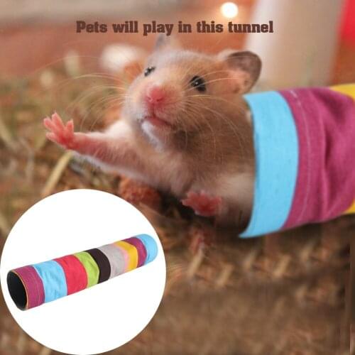 Pet Rainbow Tunnel Collapsible Training Tube Crinkle Tent Toy Peek Hole Tube Dog Rabbit Kitten Interactive Toy Runway Game Tunne