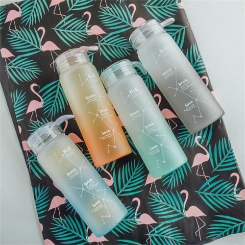 460ml Matt Beautiful Glass Water Bottle Durable Water Bottle For Girls Mini Portable Cute School Office Travel Coffee Tea Cup