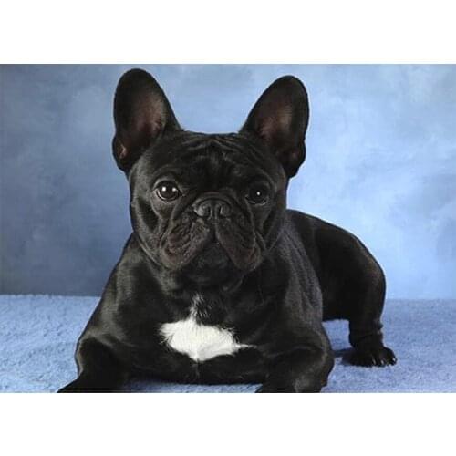 French Bulldog 5D DIY Diamond Painting Full Square/Round Diamond Embroidery Sale Pictures of Rhinestones Mosaic Decoration