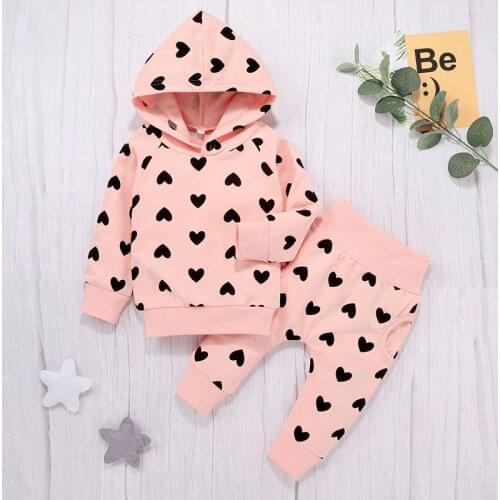 Baby Girl Clothes Set Pink Hoodie Girls Top Floral Print Pants Clothes Suit Autumn Fashion Newborn Toddler Girls Clothes Outfits