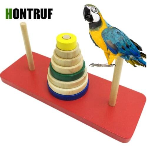 Medium and large parrot educational toys interactive intellectual toy pet toy supplies training bird tool puzzle