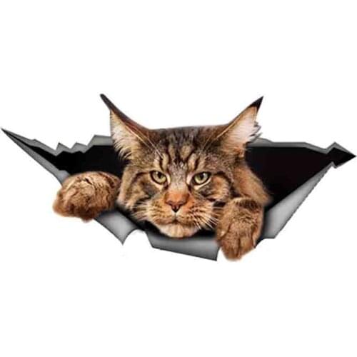 Car Stickers Decor Motorcycle Decals Funny Big Cat Decorative Accessories Creative Sunscreen Waterproof PVC,13cm X 6cm