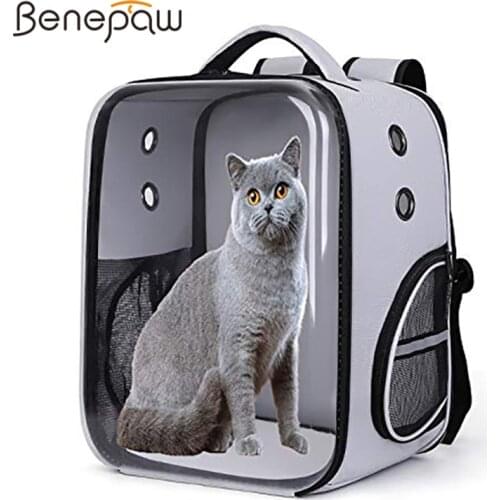 Benepaw Breathable Small Dog Backpack for Travel Hiking Walking Outdoor Quality Waterproof Bubble Pet Carrier Bag For Puppy Cat