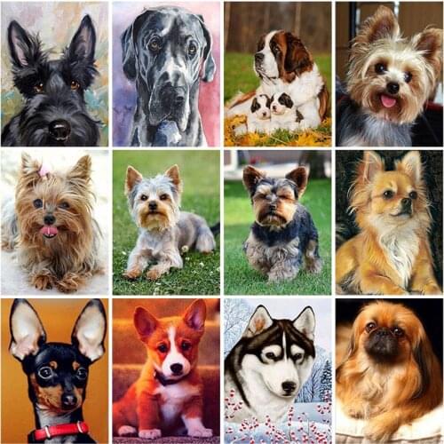 Cute Dog 5D DIY Diamond Painting Full Round Drill Animals Diamond Embroidery Cross Stitch Picture of Rhinestones Home Decor