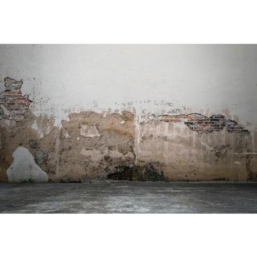 Photographic Background Broken Brick Wall Computer Printed Backdrop for Baby Children Portrait Pets Toy Photophone Photo Studio