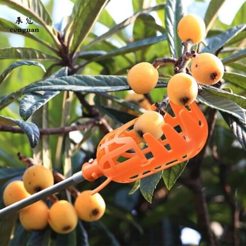 Товары для сада и огорода Macroupta China At AliExpress