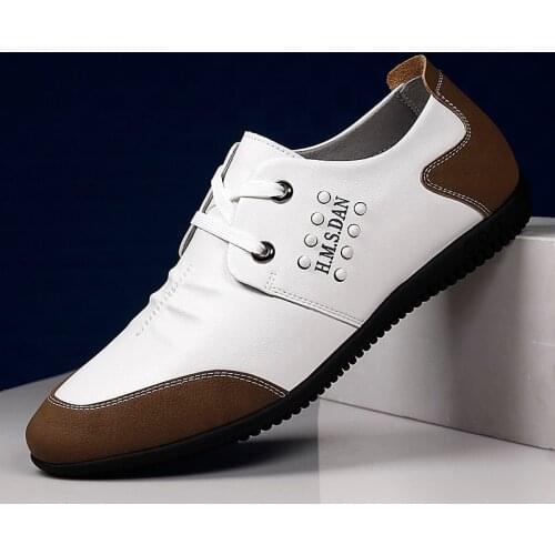 SKINDEEP Men's Shoes