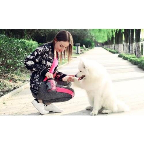 Pet Snack Bag For Cats Dogs Puppy Waterproof Oxford Cloth Training Bags Obedience Hands Free Agility Bait Food Treat Pouch Train