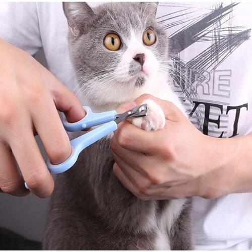 2021 Pet Nail Clipper Scissors Pet Supplies Cat Dog Toenail Scissors Trimming Scissors Animal Grooming Tools Home Nailclippers