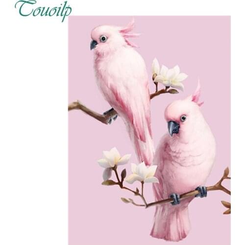 5D DIY Diamond Embroidery animal 5D round&square Diamond painting parrot Diamonds mosaic full rhinestone cross stitch