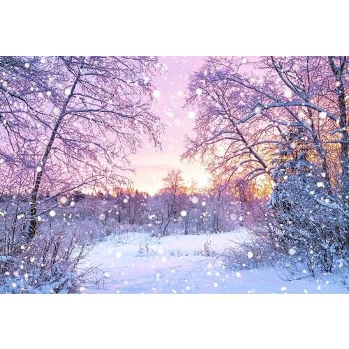 Fotografia winter forest backgrounds photography vinyl vlog marriage photo backdrops for photo Studio kits photophone lv-2371