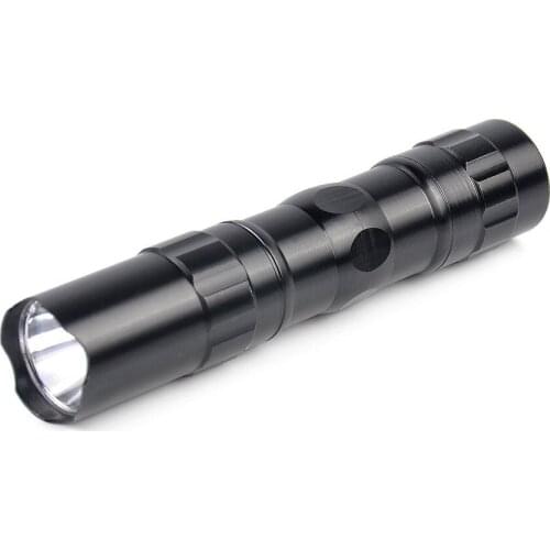 Pocket Pen Light Mini Portable LED Flashlight 1 Mode Led Small Flashlight Torch for Dentist or Out Camping Hiking