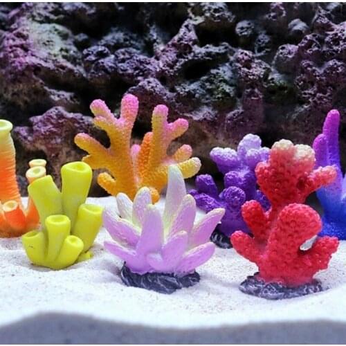 Quail Equipment For Aquariums