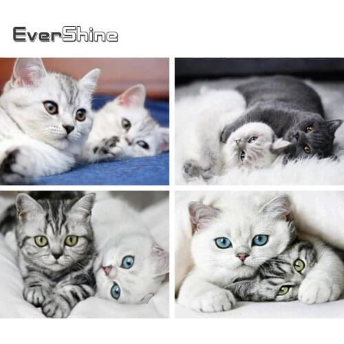 Evershine Diamond Mosaic Full Round Square Drill Animal Diamond Embroidery Cat Diamond Painting Cross Stitch Kit Full Set Sale