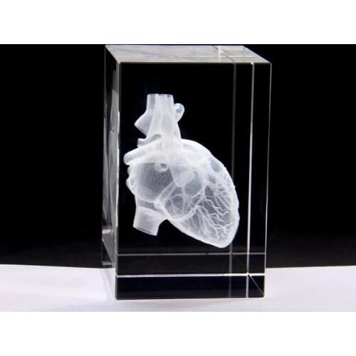 Heart Anatomy Model Design Cube Crystal 3D Laser Crystal Engraving With Detailed Visible Blood System For Hospital Souvenirs