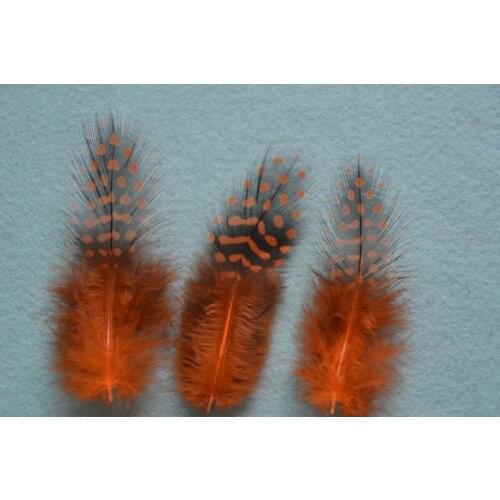 Hot! Sales 20PCS beautiful orange guinea fowl feathers, 2-4 "/ 5-10cm DIY Jewelry Decoration Accessories