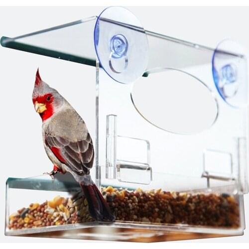2019 New Clear Glass Window Viewing Bird Feeder Hotel Table Seed Peanut Hanging Suction Alimentador Adsorption House Type 5