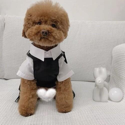 Fashion Pet Dog Spring Summer Dress Skirt Clothes For Small Medium Dogs Puppy Schnauzer Yorkie Pug Corgi French Bulldog YKC20