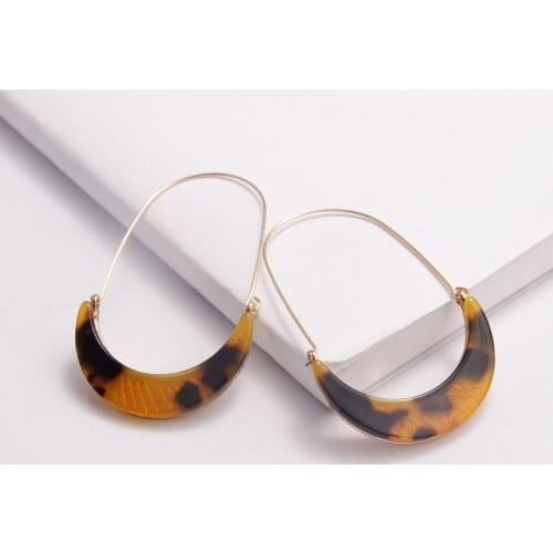 Fashion 2020 Za Leopard Print Acrylic Earrings for Women Big Tortoiseshell Geometric Moon Long Statement Drop Korean Earrings