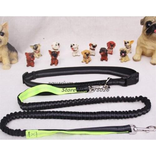 HONGYI Dogs Leash Running Elasticity Hand Freely Pet Products Dogs Harness Collar Jogging Lead and Adjustable Waist Rope