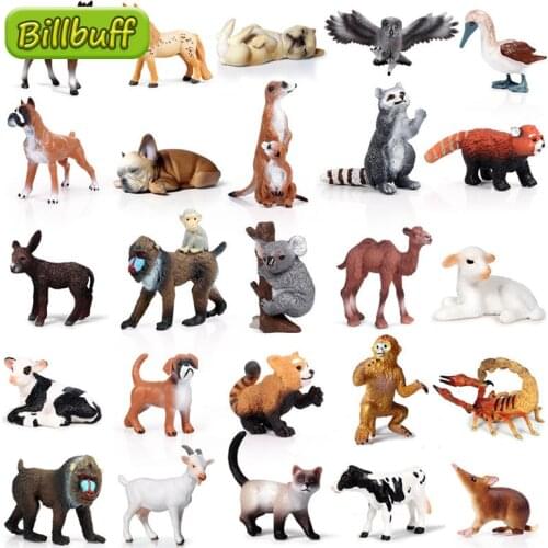 2020 Mini Simulation Wild Zoo Animal African Rhino Hippopotamus Action Figures Raccoon Model Teaching Material Toys for Children