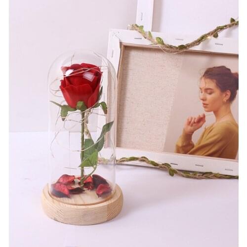 Mycyk Battery Powered Red Flower String Light Desk Lamp LED Beauty Rose Romantic Valentines Day Birthday Gift Christ Decoration